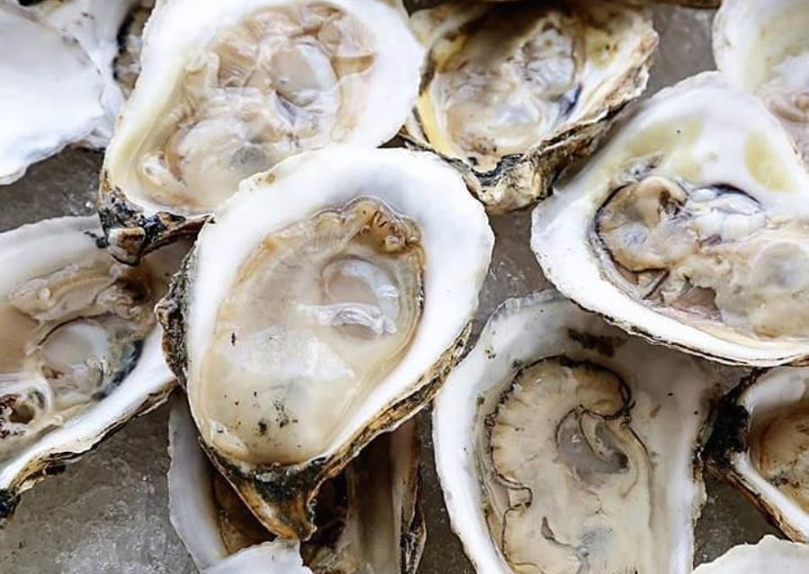 Mastering Oyster Etiquette