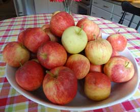 everyday-apples