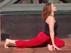 ask-yogi-rooftop2-2